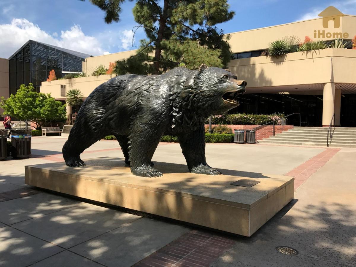 "Resort Style Amenities Walk To Ucla" W Pool & Parking B2 Los Angeles Eksteriør bilde